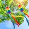 Rainbow Column Windsock Flag - 4Pcs Rainbow Windsock Flag Gay Pride Striped Outdoor Decor LGBT Event Banner Decoration